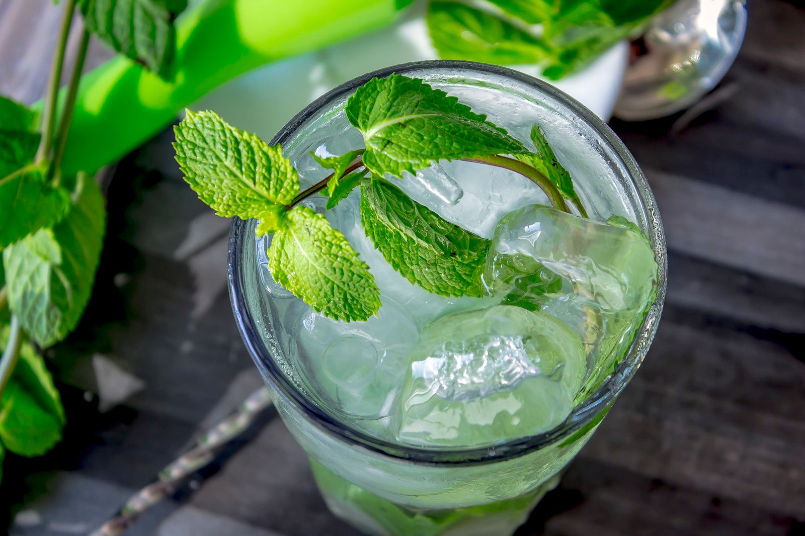 Le 6 cose che devi sapere sul Mojito