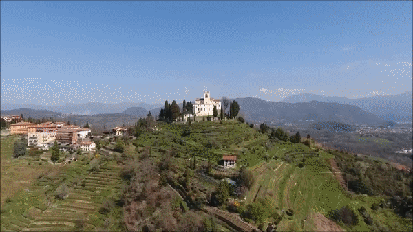 Azienda Agricola “La Costa”, e il Tom Time Gin