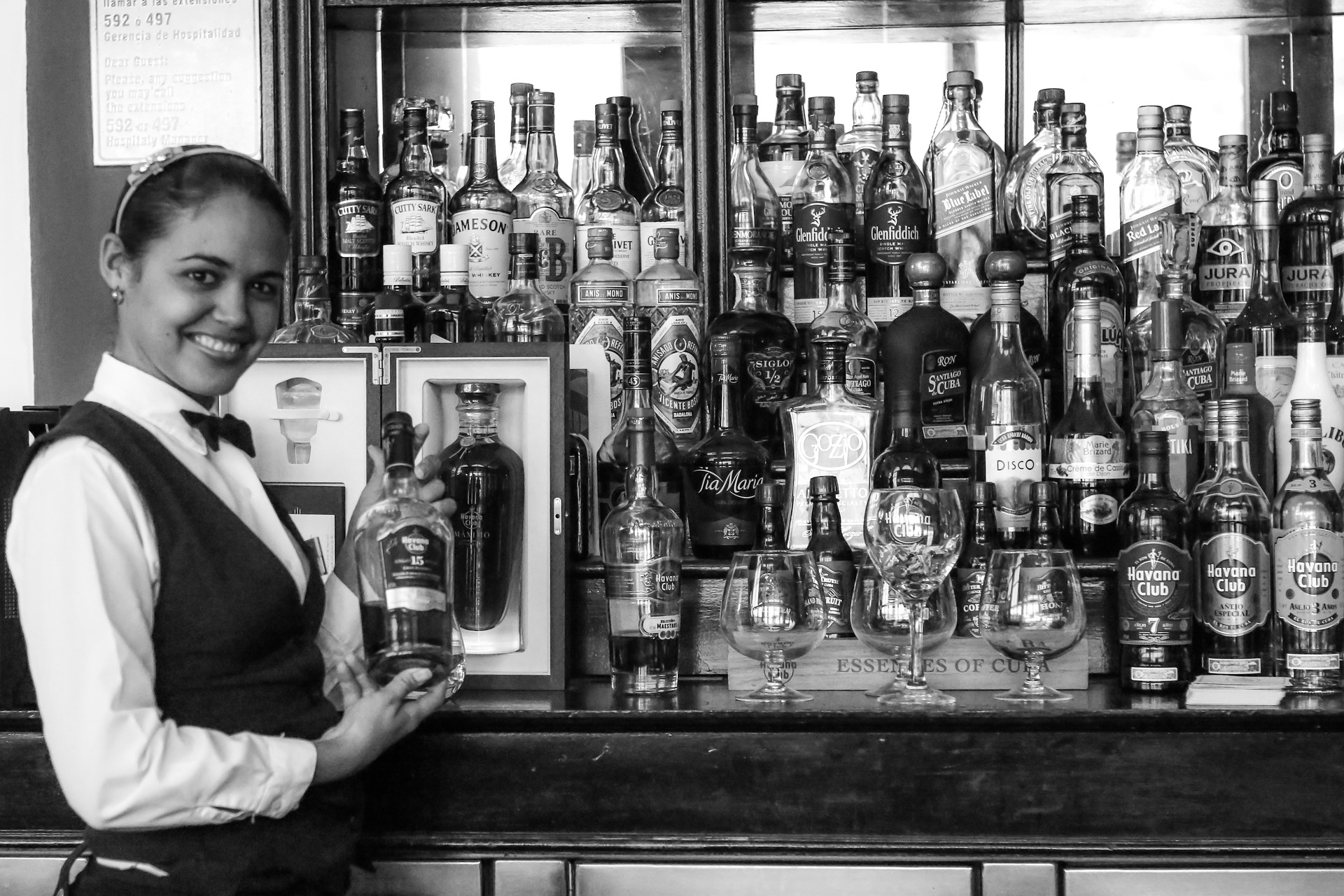 …TO DO OR NOT TO DO… Le Regole Base Per Diventare Barman